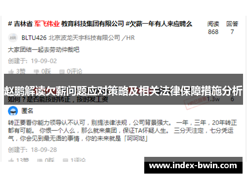 赵鹏解读欠薪问题应对策略及相关法律保障措施分析 赵鹏解读欠薪问题应对策略及相关法律保障措施分析