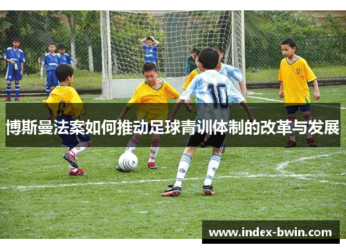博斯曼法案如何推动足球青训体制的改革与发展