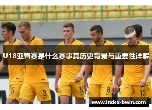 U18亚青赛是什么赛事其历史背景与重要性详解